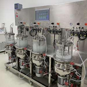 15l Quadruple Magnetic Stirring In-situ Automatic Sterilization Glass Fermenter